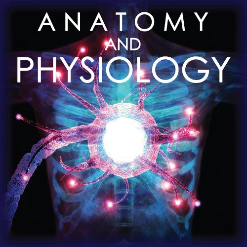 Anatomy & Physiology Online Course